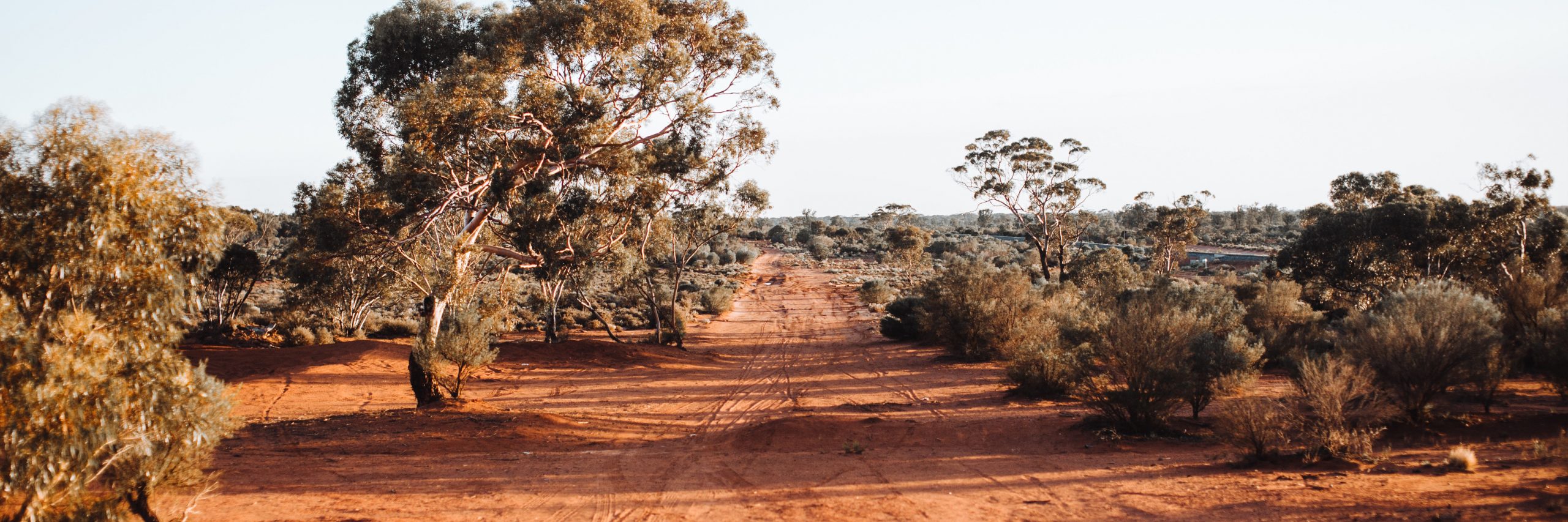 australia bush