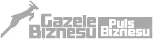 gazele biznesu